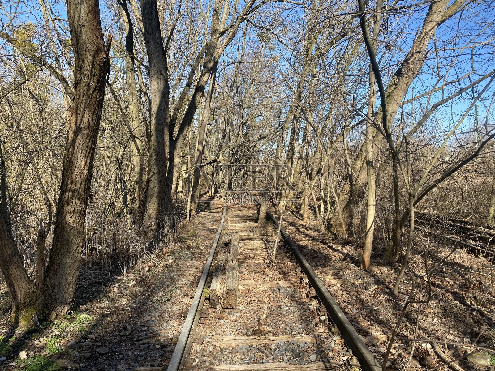 被自然取代的废弃铁路照片摄影图片