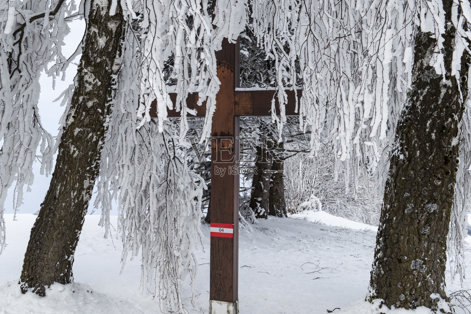 莫斯特维尔特尔照片摄影图片