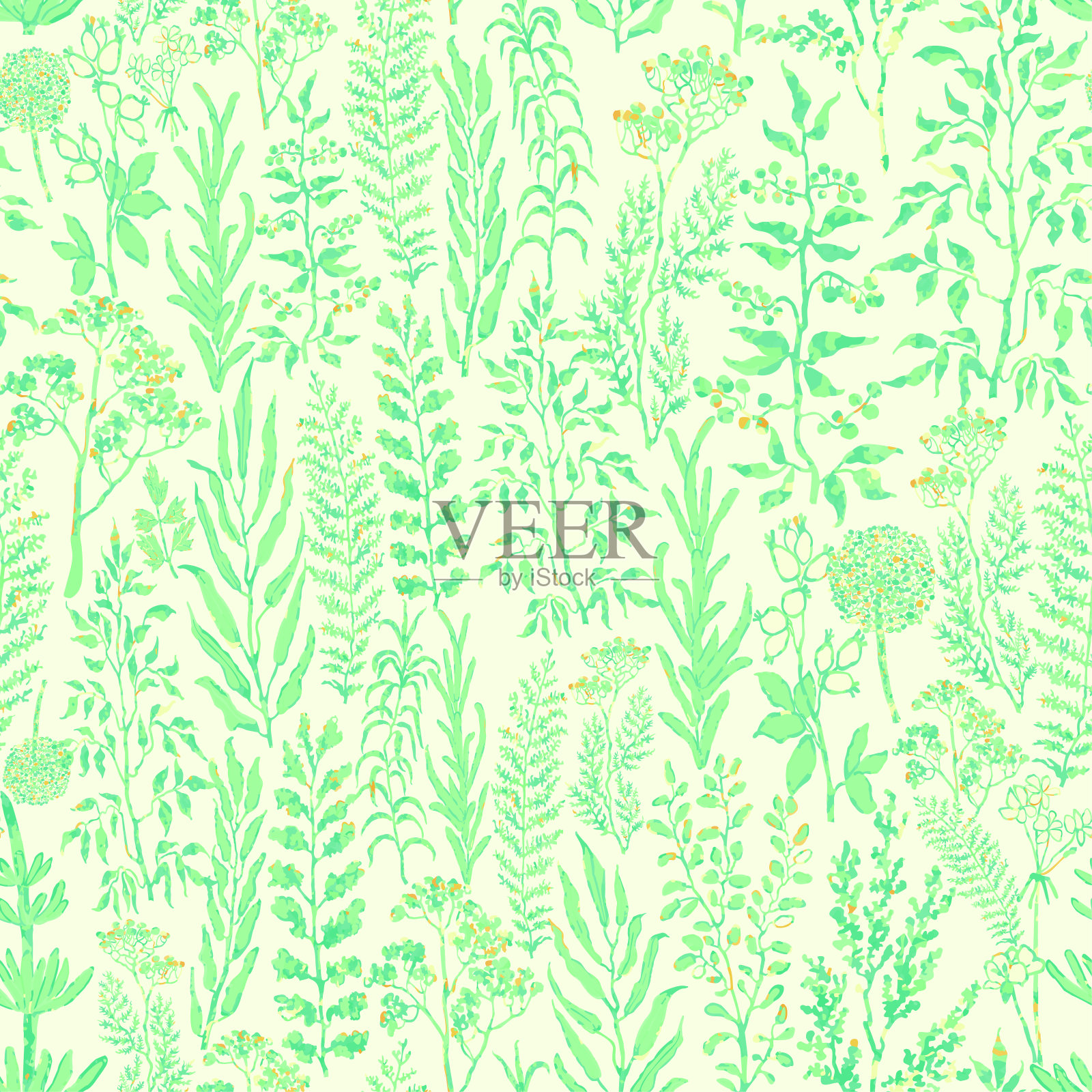 无缝模式与草本，植物和花卉插画图片素材