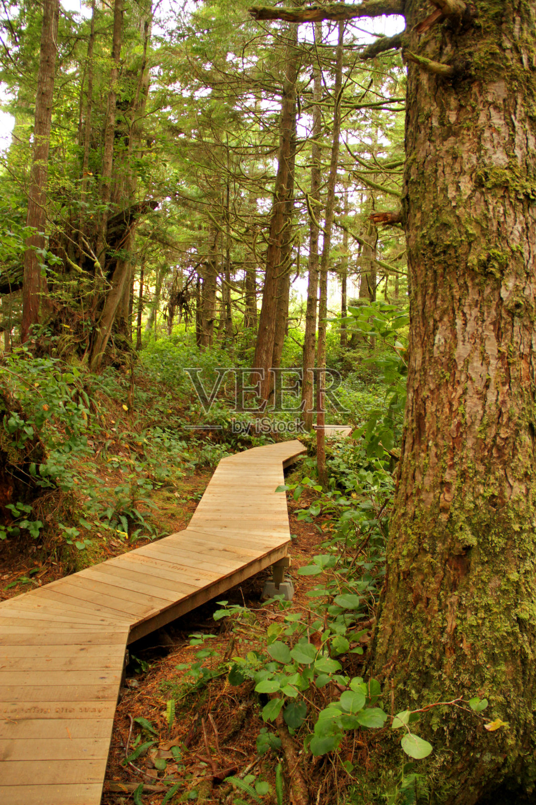 狭窄的走照片摄影图片