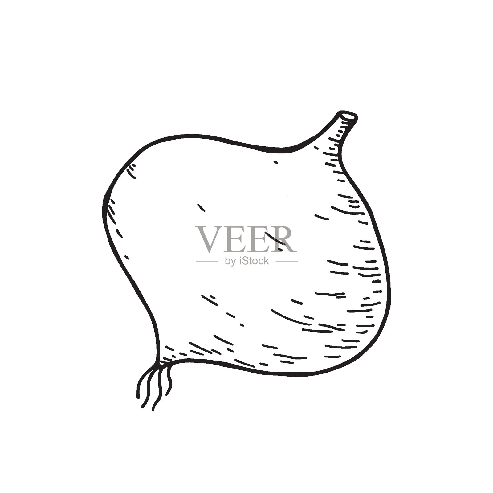 豆薯(地瓜erosus)。墨西哥山药豆素描。手绘矢量插图。插画图片素材