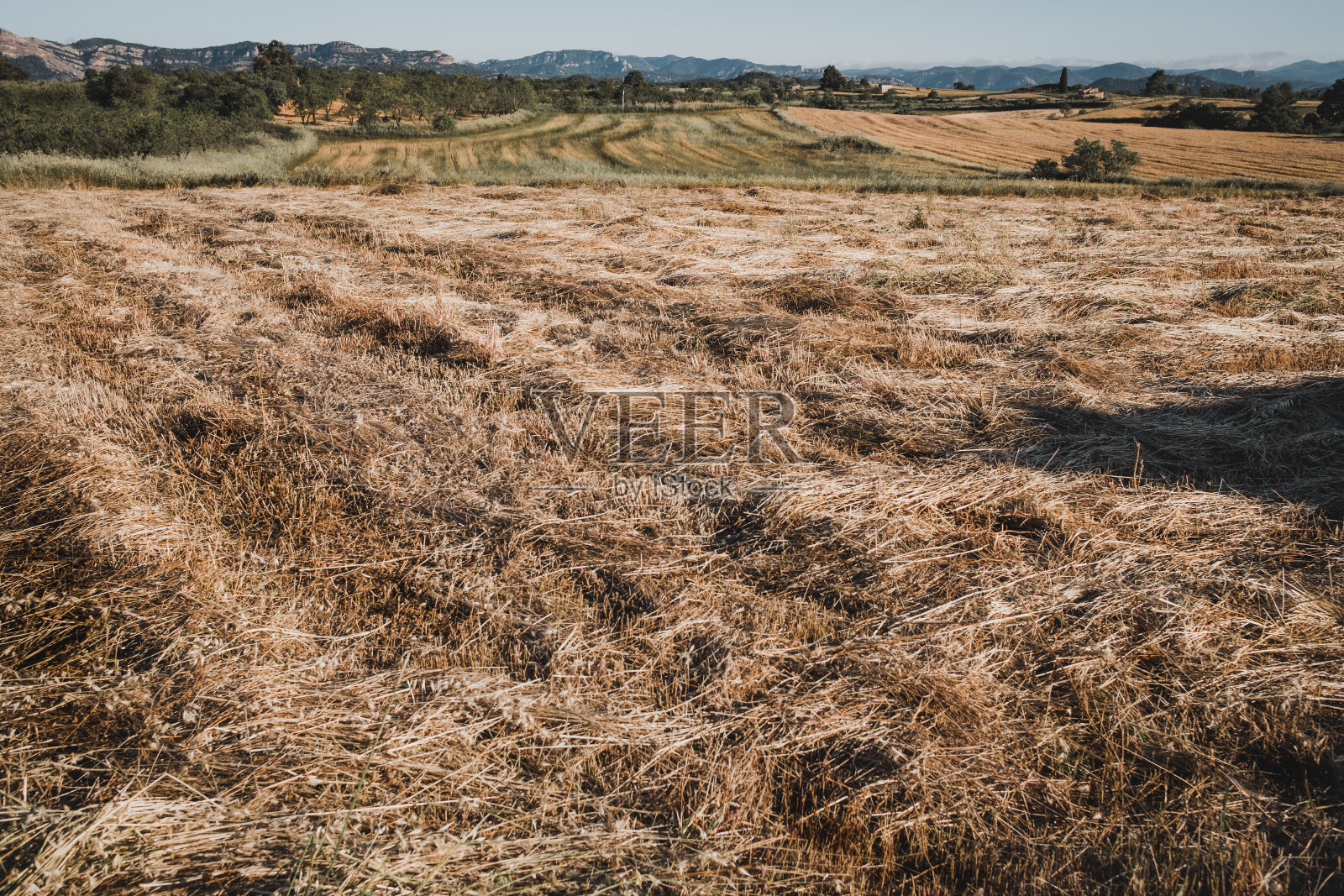 洛斯港自然公园照片摄影图片