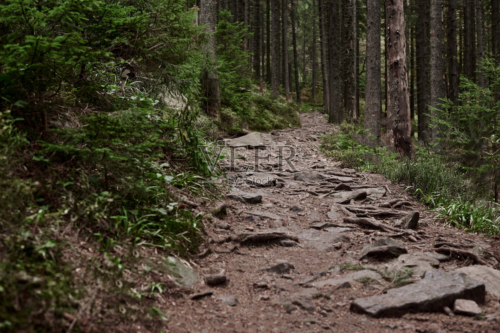 神奇的山景照片摄影图片