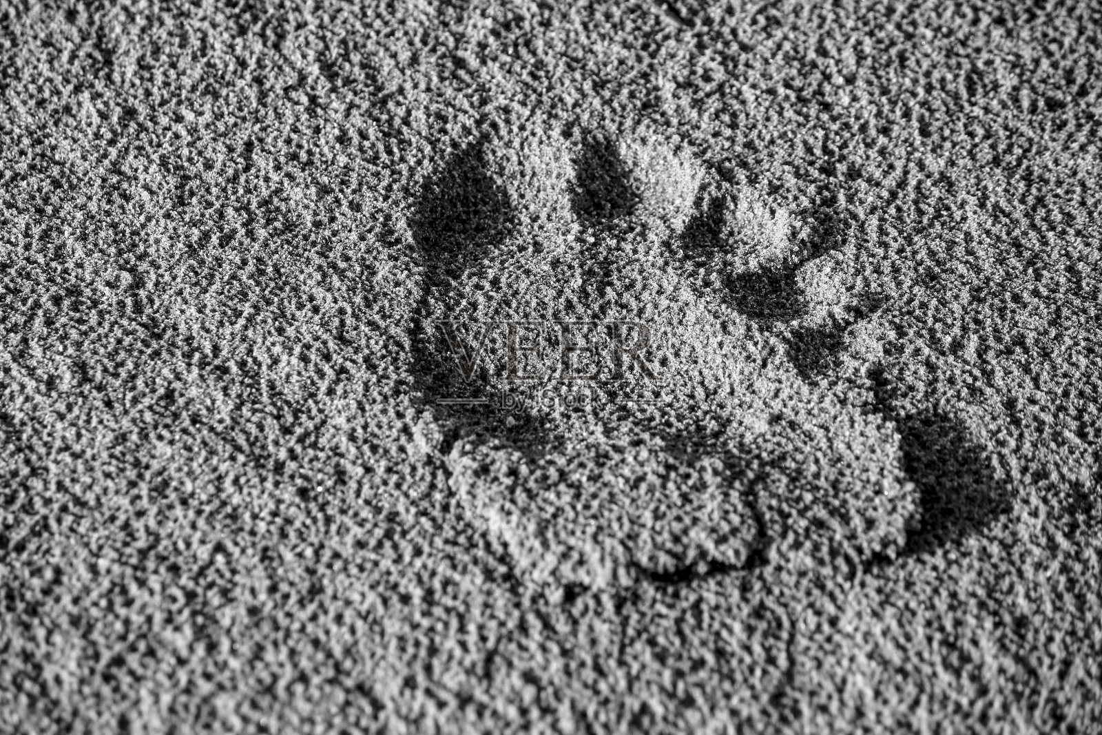 沙滩上的沙子纹理和脚印照片摄影图片