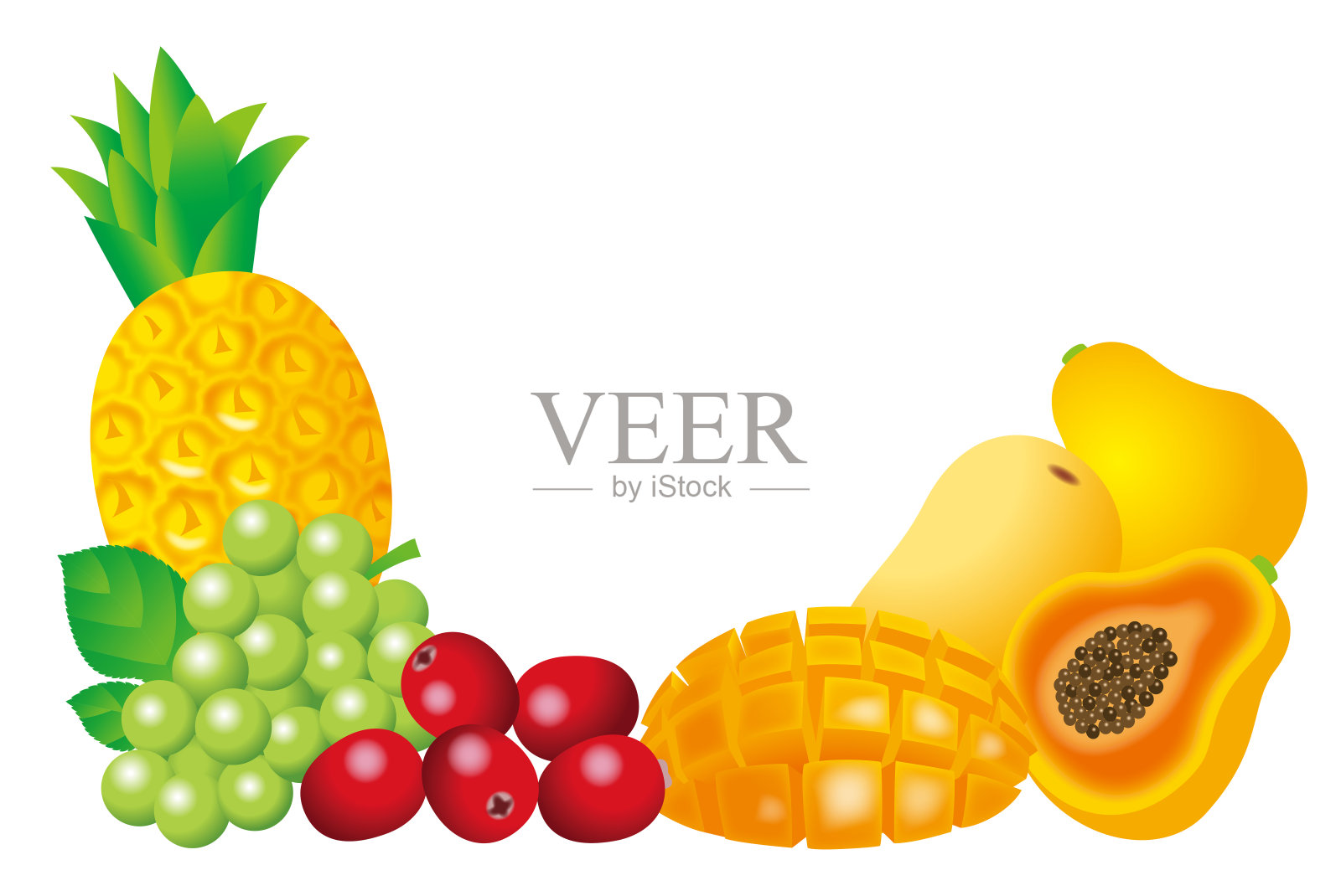 一个水果框架的插图。热带水果。插画图片素材