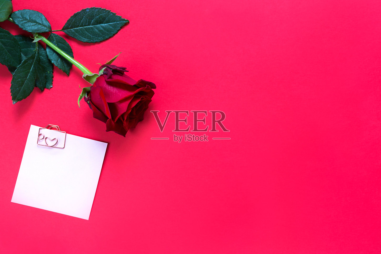 红色背景上的红玫瑰和印有回形针和心形的贴纸，便条上的提醒。给女人的节日礼物，约会邀请，情人节，爱的象征照片摄影图片