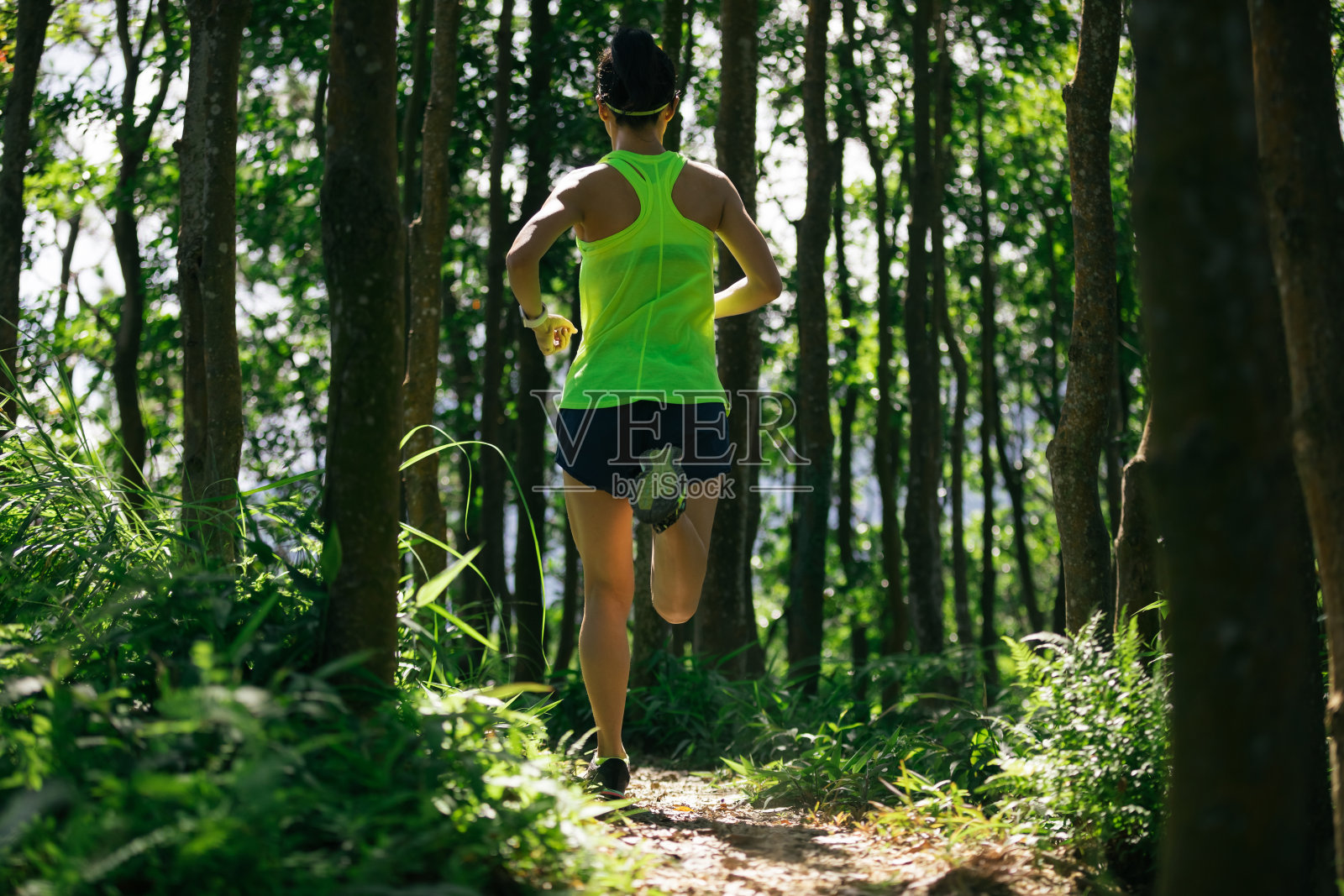 年轻女子trail runner在日出热带森林跑步照片摄影图片