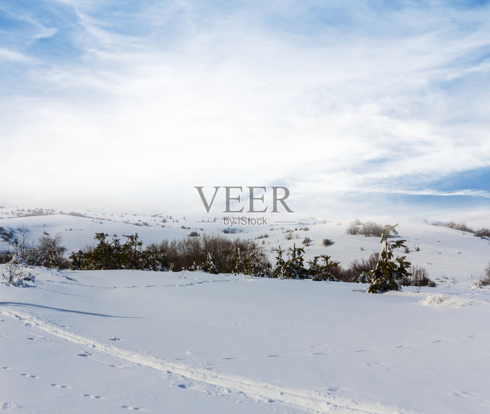 冬天白雪皑皑的草原照片摄影图片