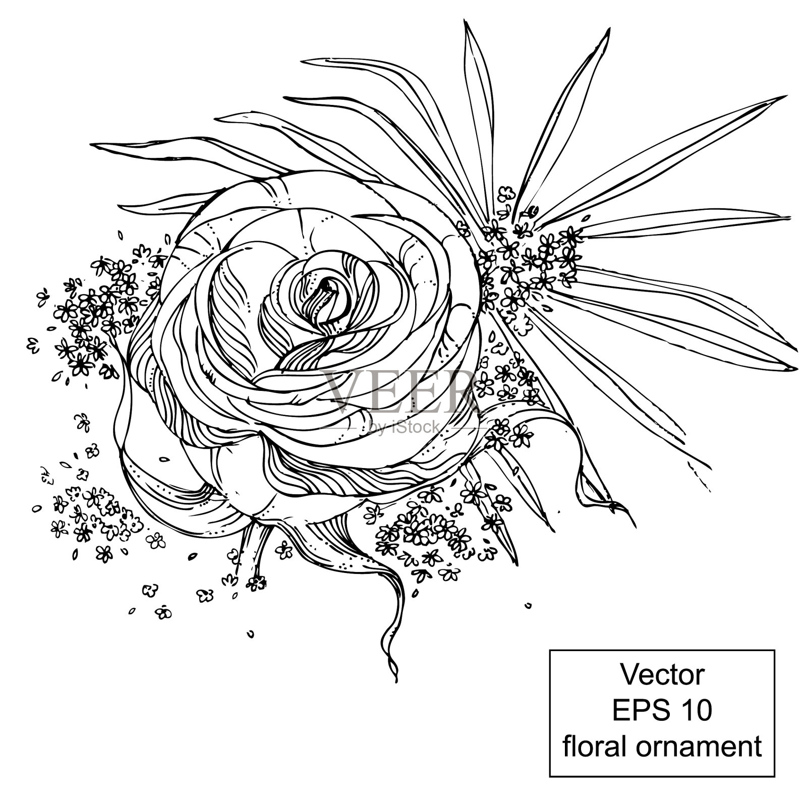 手绘彩色花卉装饰与花和叶在白色的背景。插画图片素材