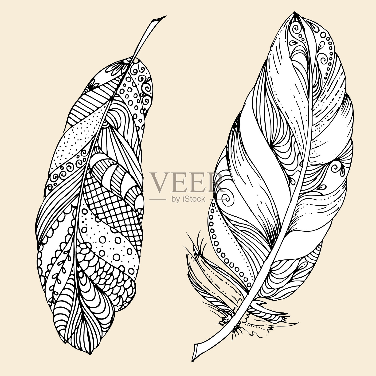 手绘矢量涂鸦羽毛。成人抗压力绘图页，纹身，海报，印刷，t恤，邀请，卡片，横幅，传单，日历。插画图片素材