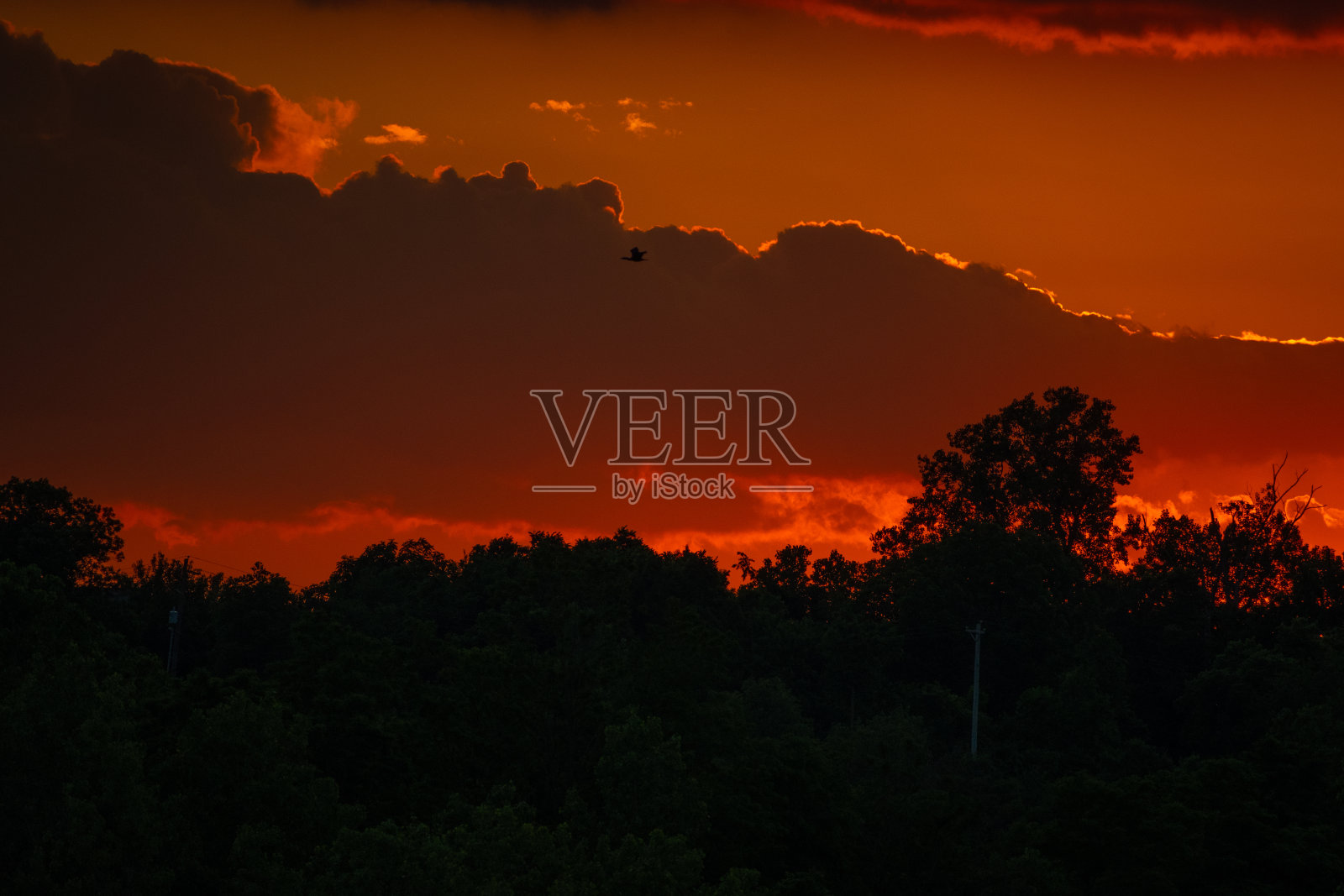 黄昏时分，暮色飞扬照片摄影图片