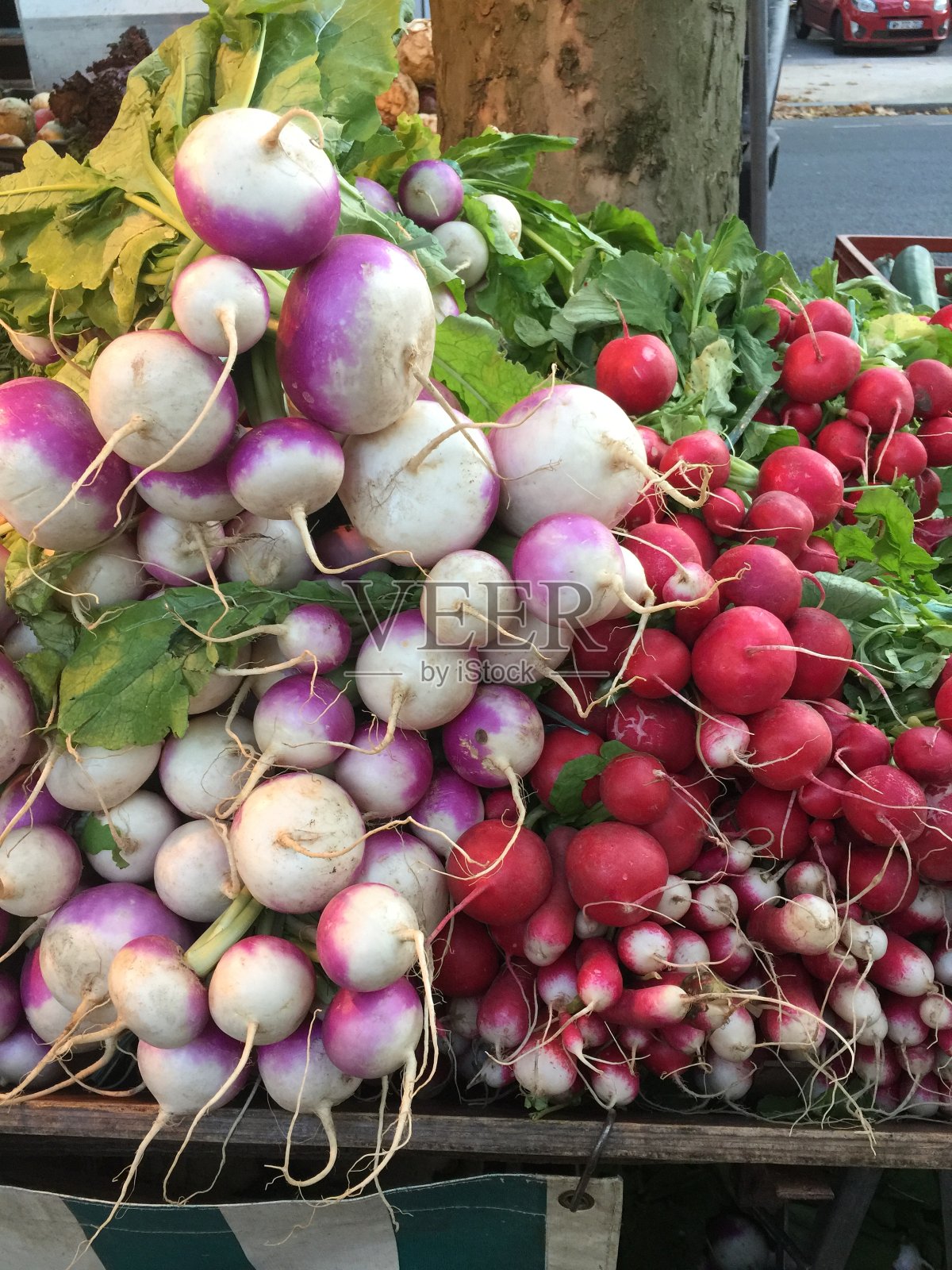 萝卜照片摄影图片