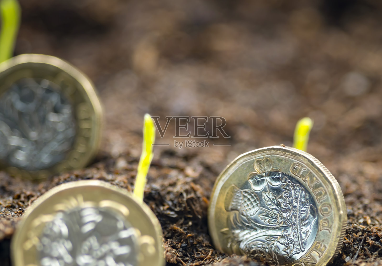 让你的钱增长照片摄影图片