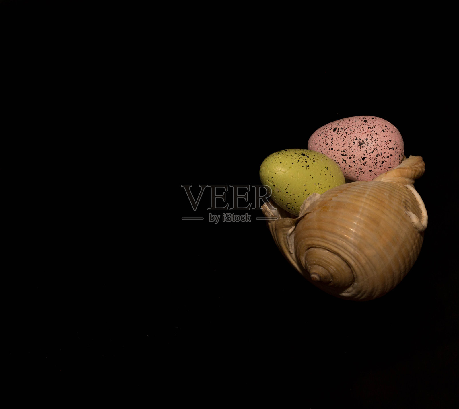 复活节用彩蛋装饰的贝壳照片摄影图片