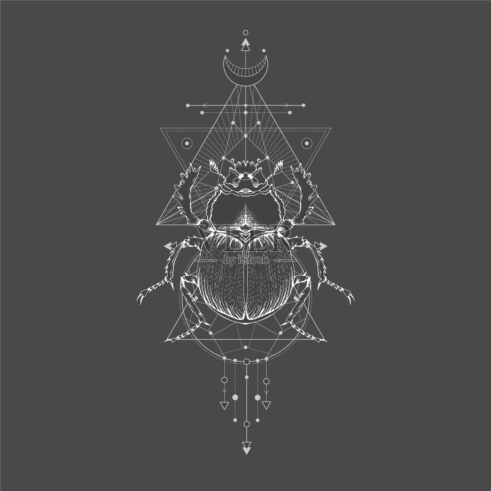 圣甲虫和几何符号插画图片素材