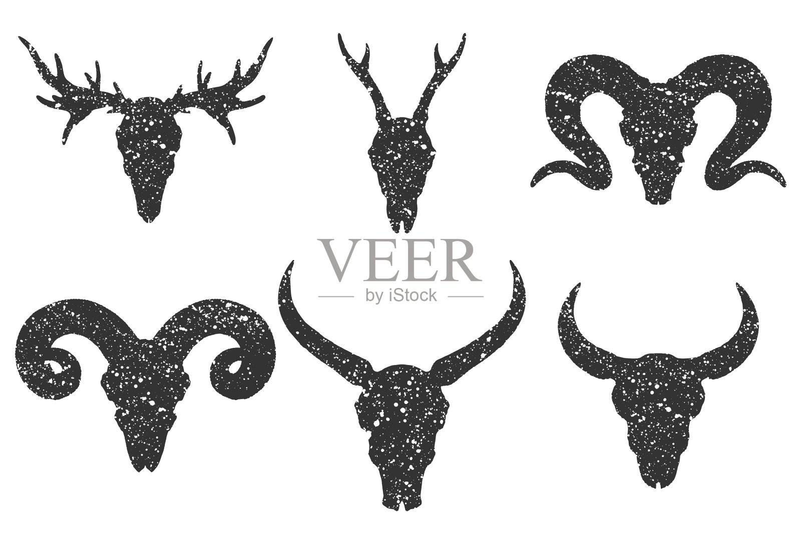 设置6个手画头骨角动物插画图片素材