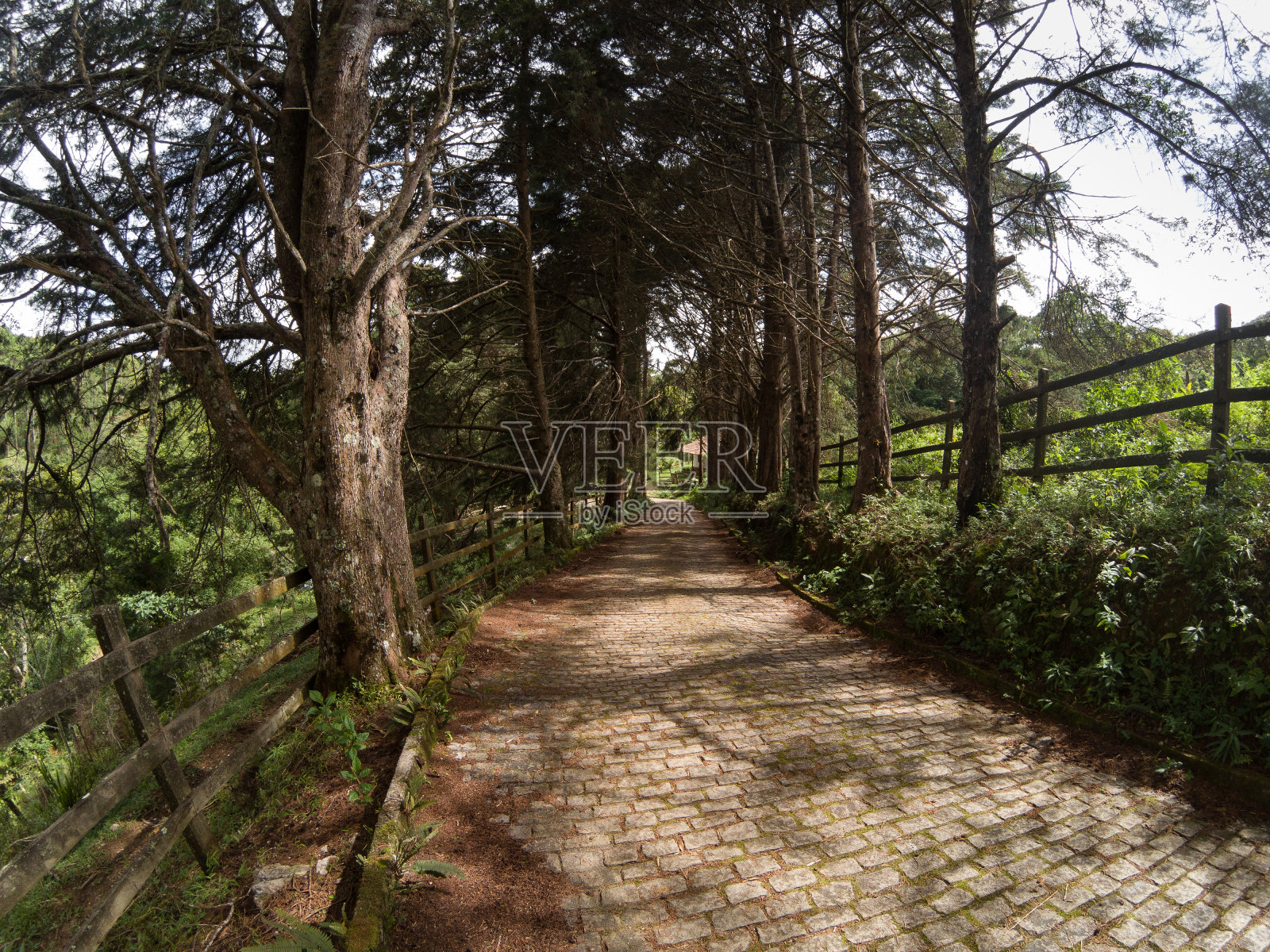 小巷照片摄影图片