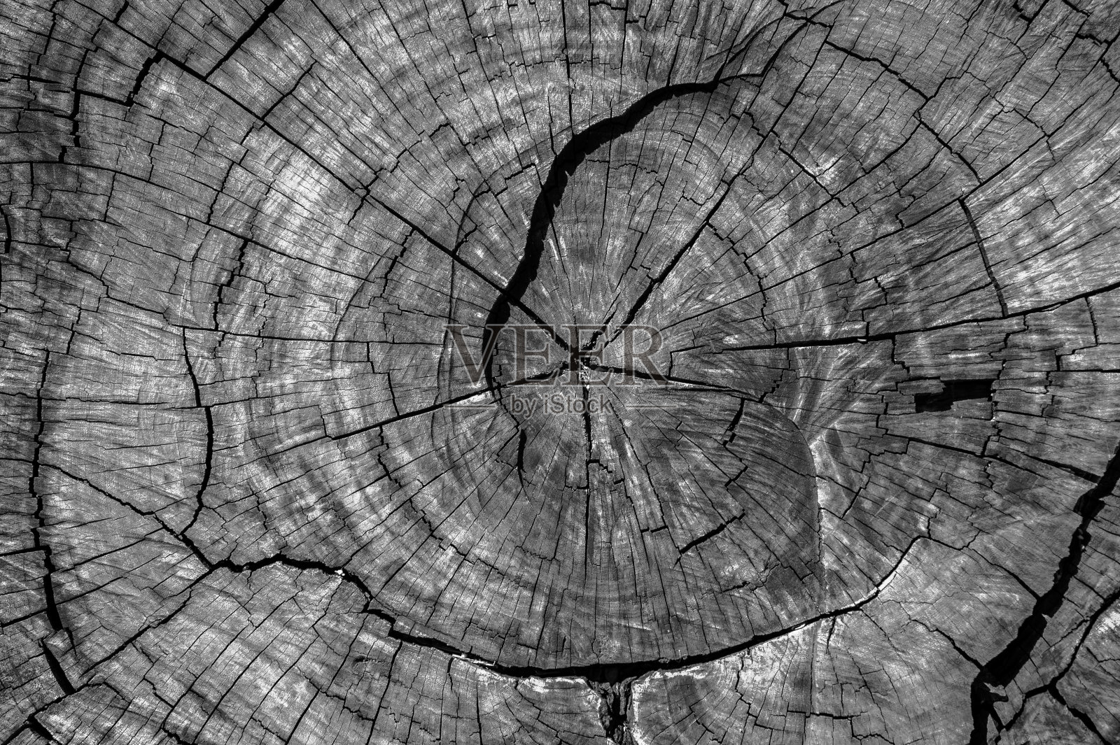 树木毁损，巴西环境恶化照片摄影图片