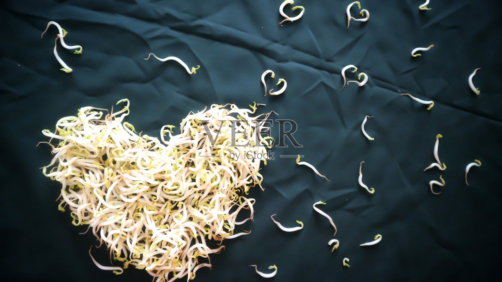 豆芽照片摄影图片