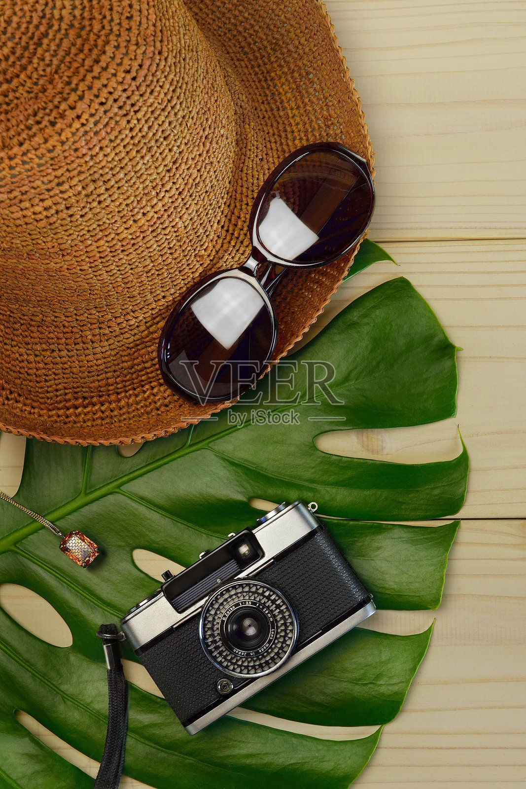 草帽，太阳镜和大叶子相机照片摄影图片