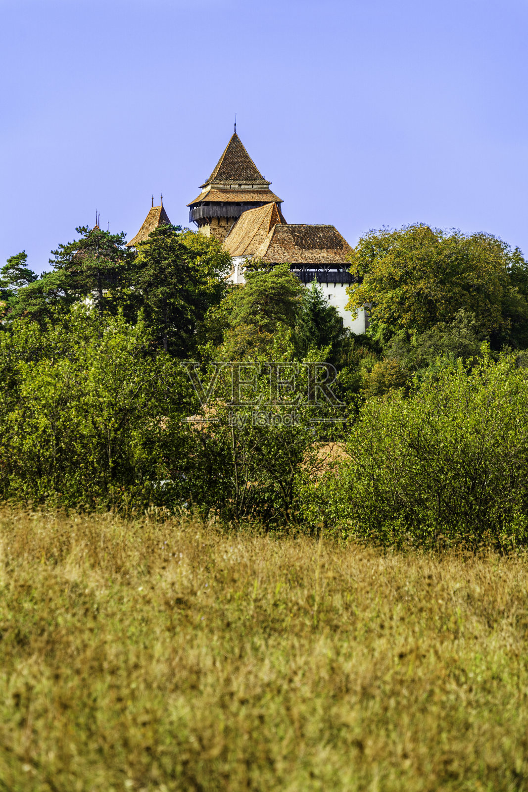 罗马尼亚特兰西瓦尼亚维斯克里村坚固的教堂照片摄影图片