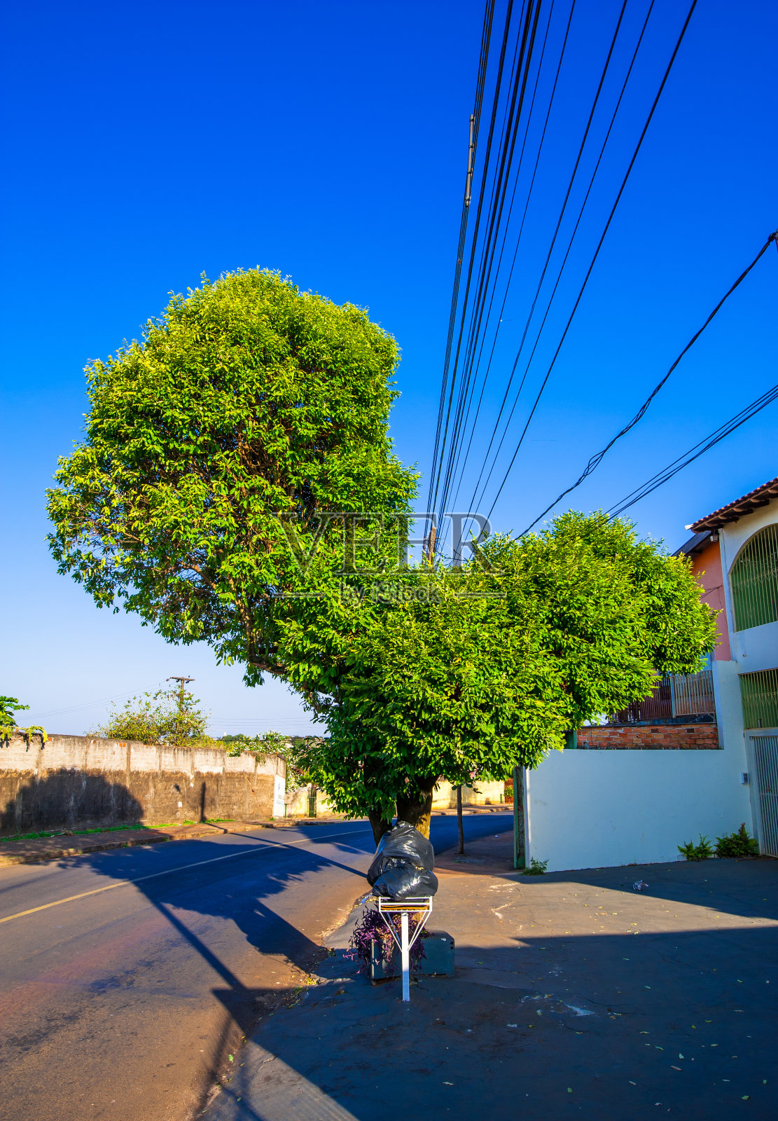 树木毁损，巴西环境恶化照片摄影图片