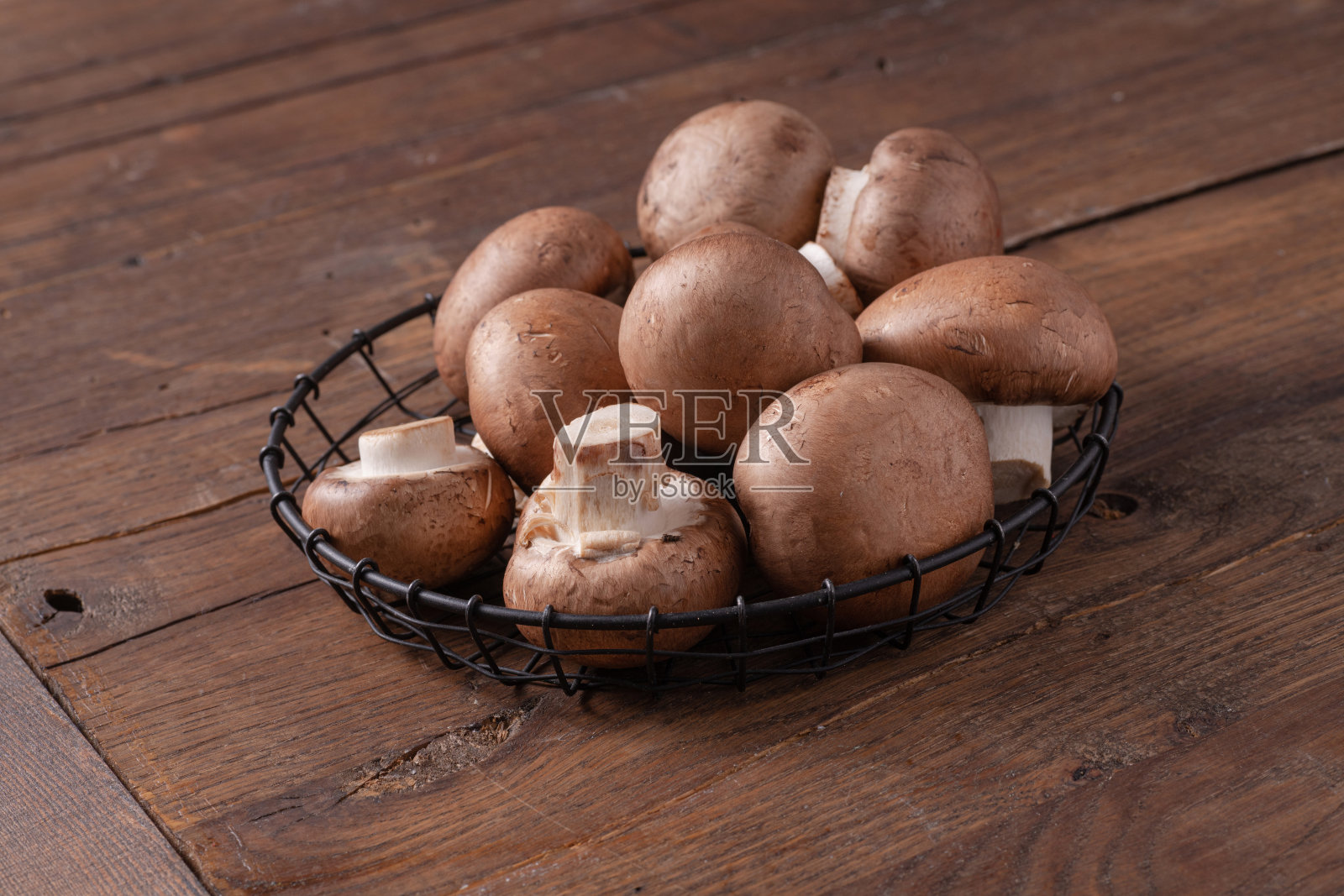 皇家蘑菇照片摄影图片