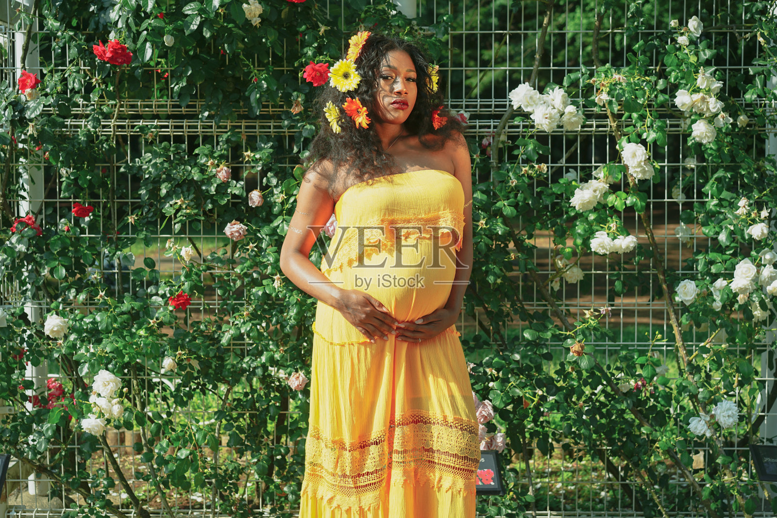 未来的母亲照片摄影图片