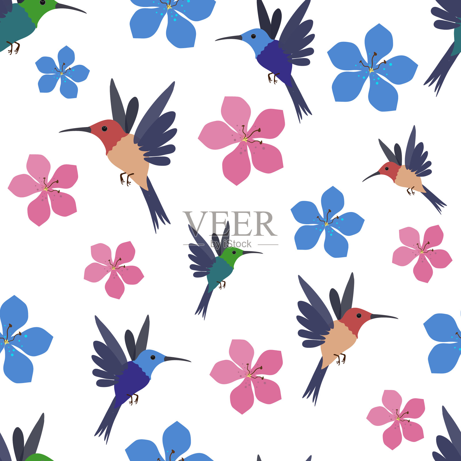 无缝图案与彩色蜂鸟插画图片素材