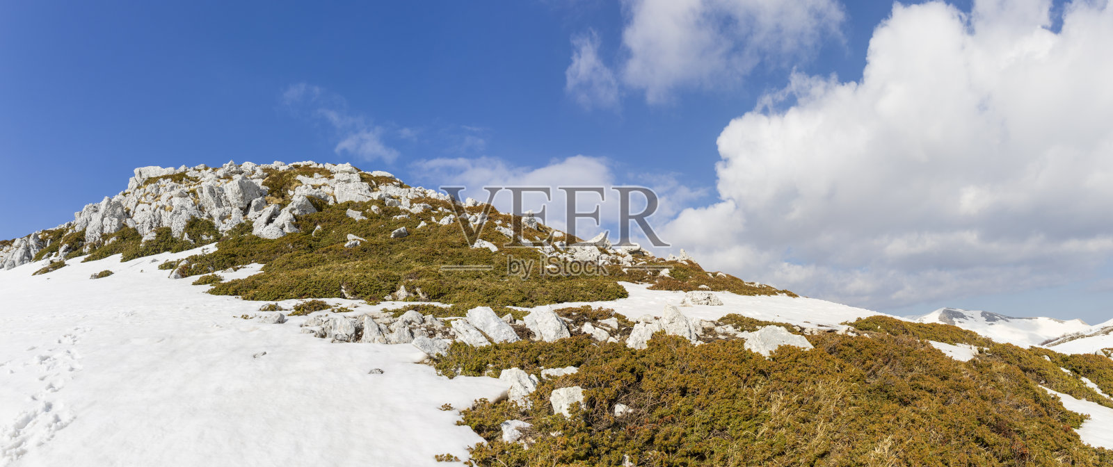 冬天，意大利坎波卡蒂诺山上有雪和植物。照片摄影图片