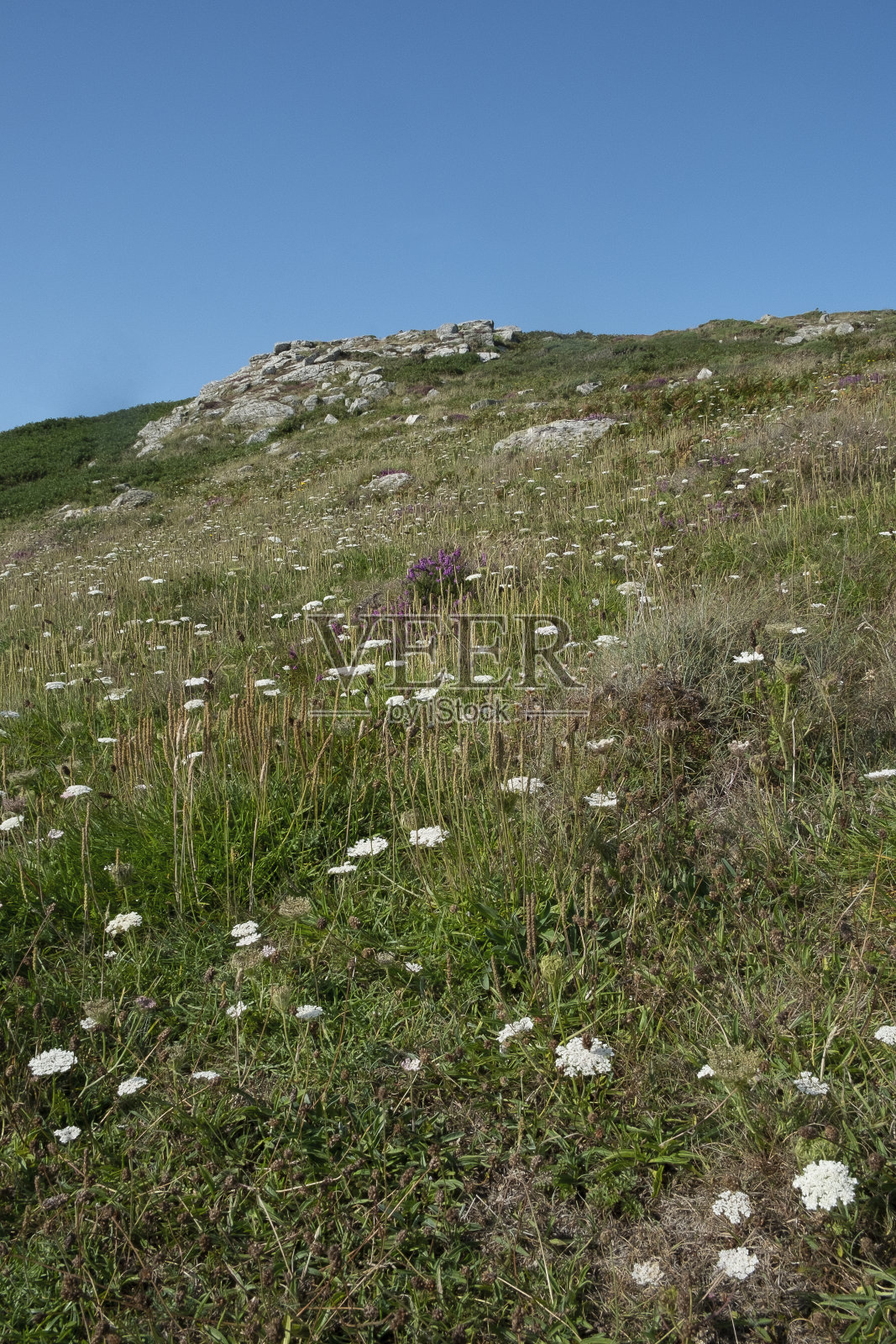 康沃尔郡的乡村照片摄影图片