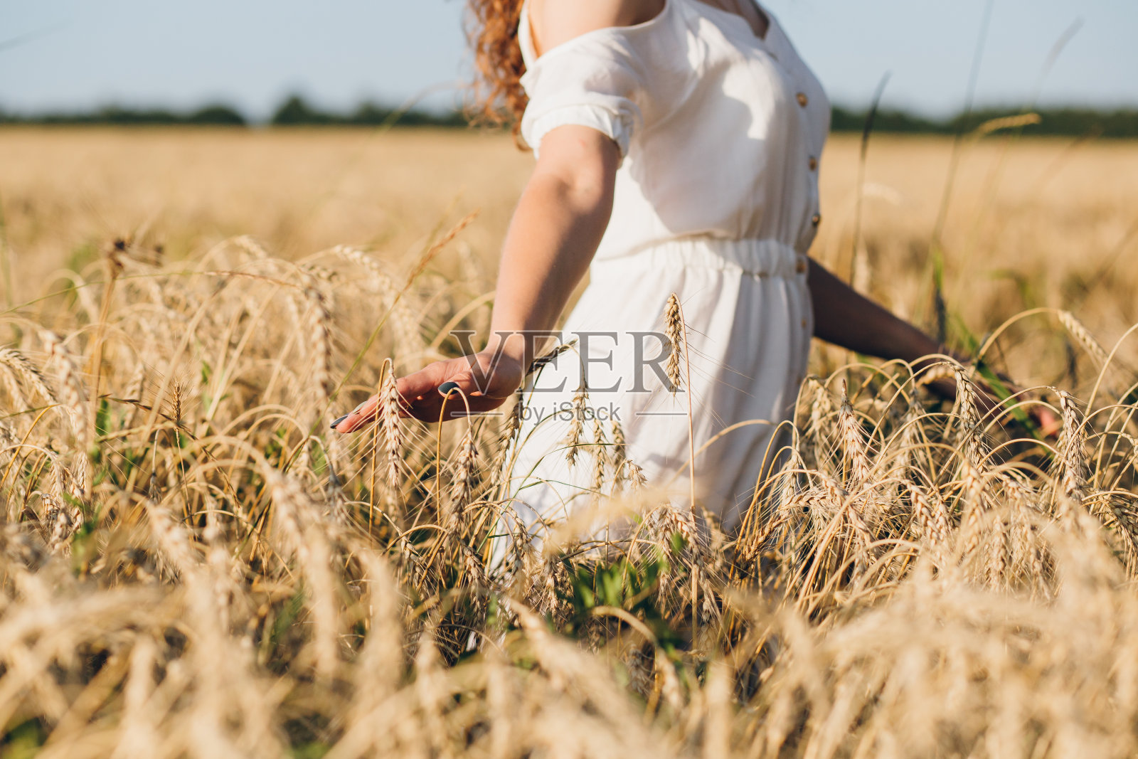 一个长卷发的女孩在麦田里摆姿势照片摄影图片
