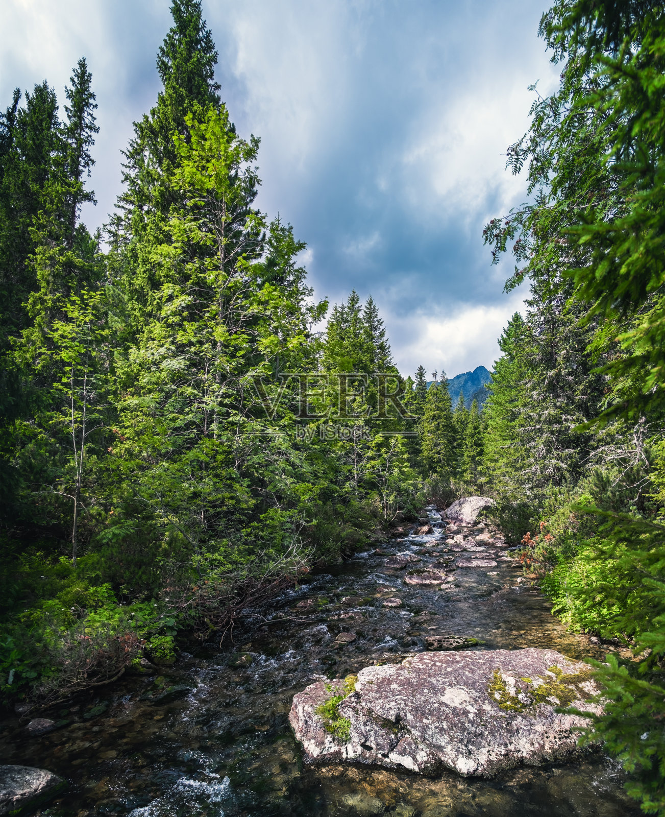 美丽宁静的夏季斯洛伐克自然景观，斯洛伐克的小河、瀑布照片摄影图片
