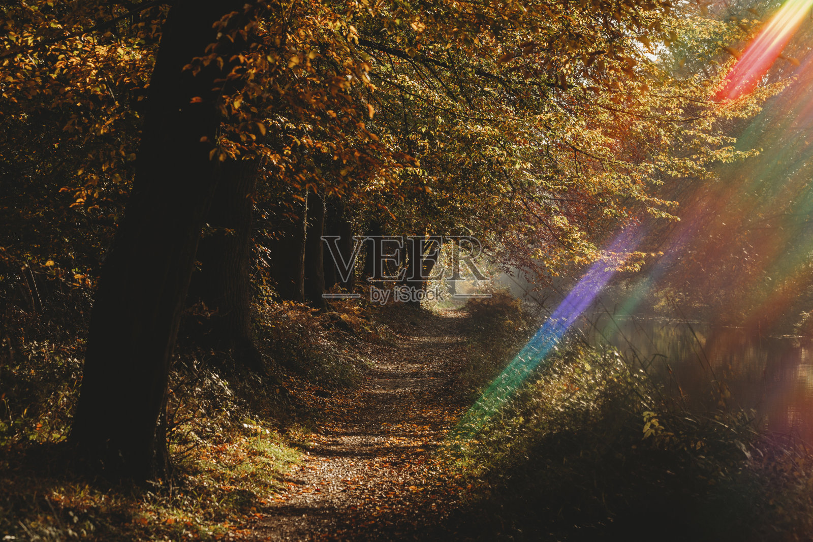 运河拖道景观在秋天与彩虹光闪耀照片摄影图片