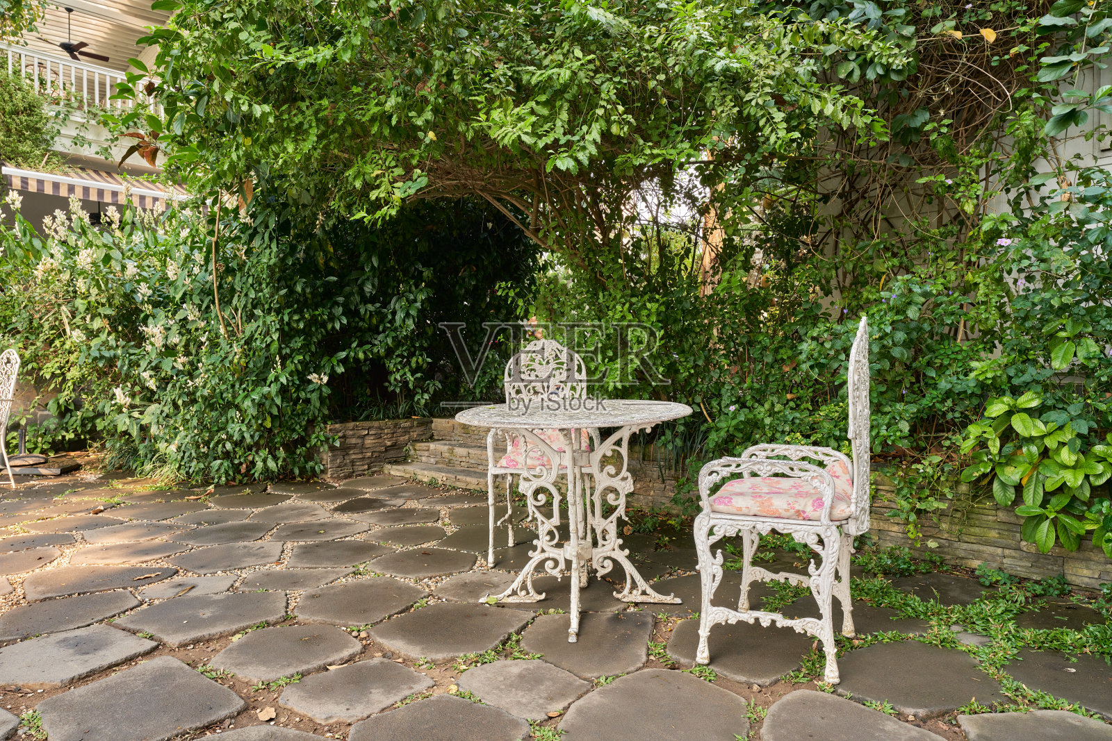 桌茶在花园公园在屋内茶时间放松照片摄影图片