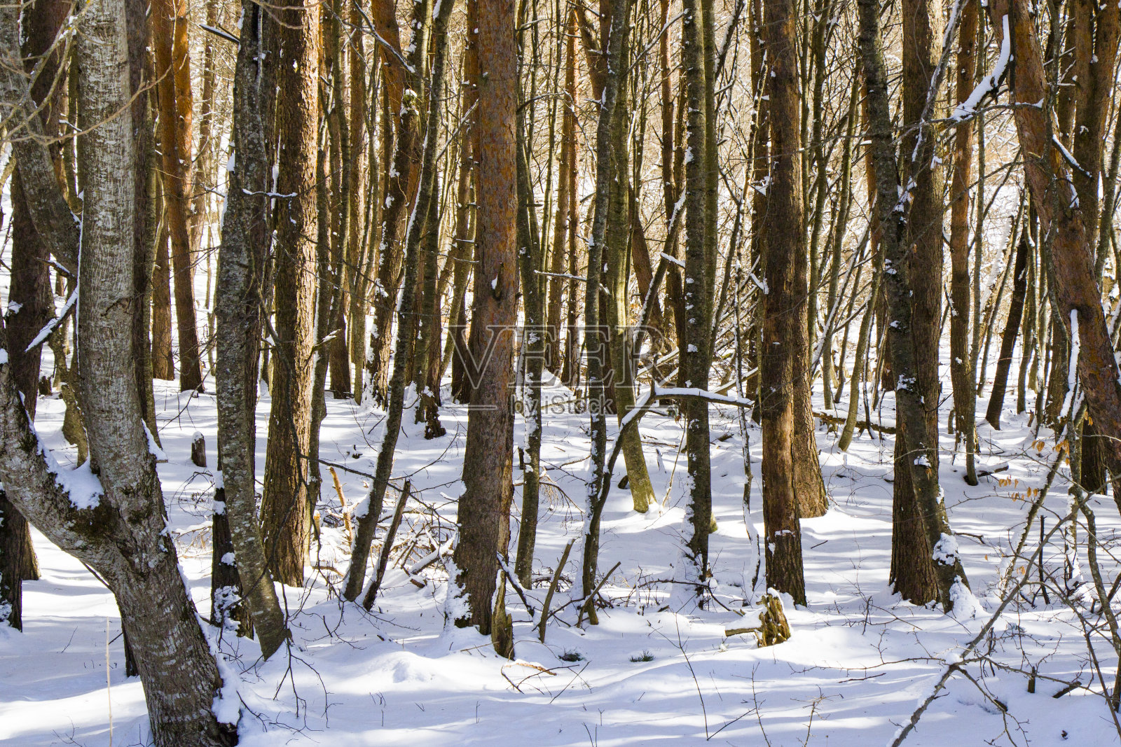 冬天的风景照片摄影图片