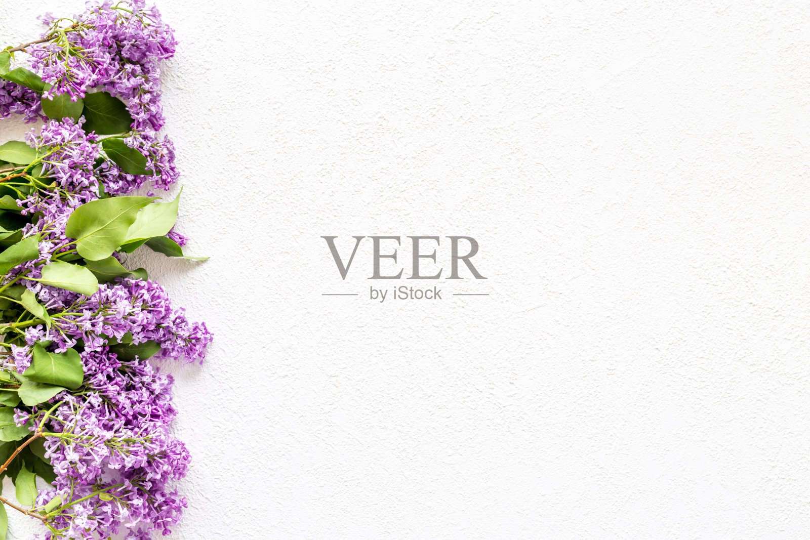 一圈春天的丁香花。平躺，俯视图照片摄影图片