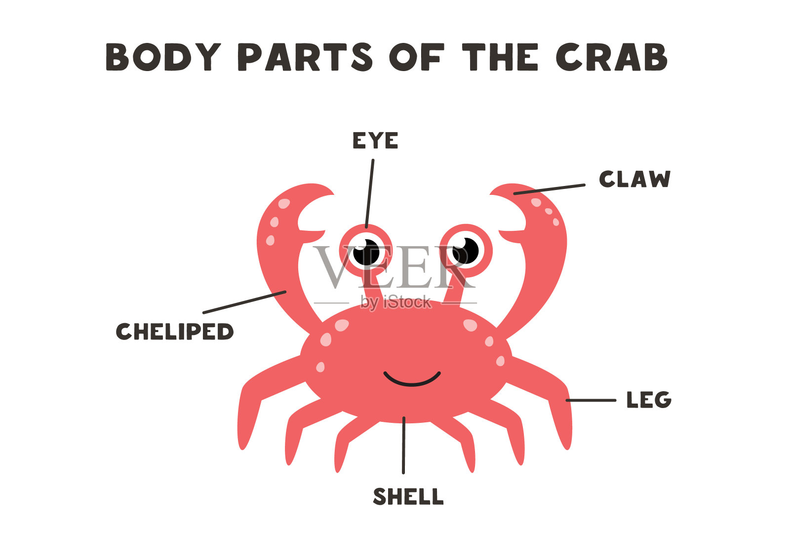 螃蟹的身体部位。计划为儿童。插画图片素材