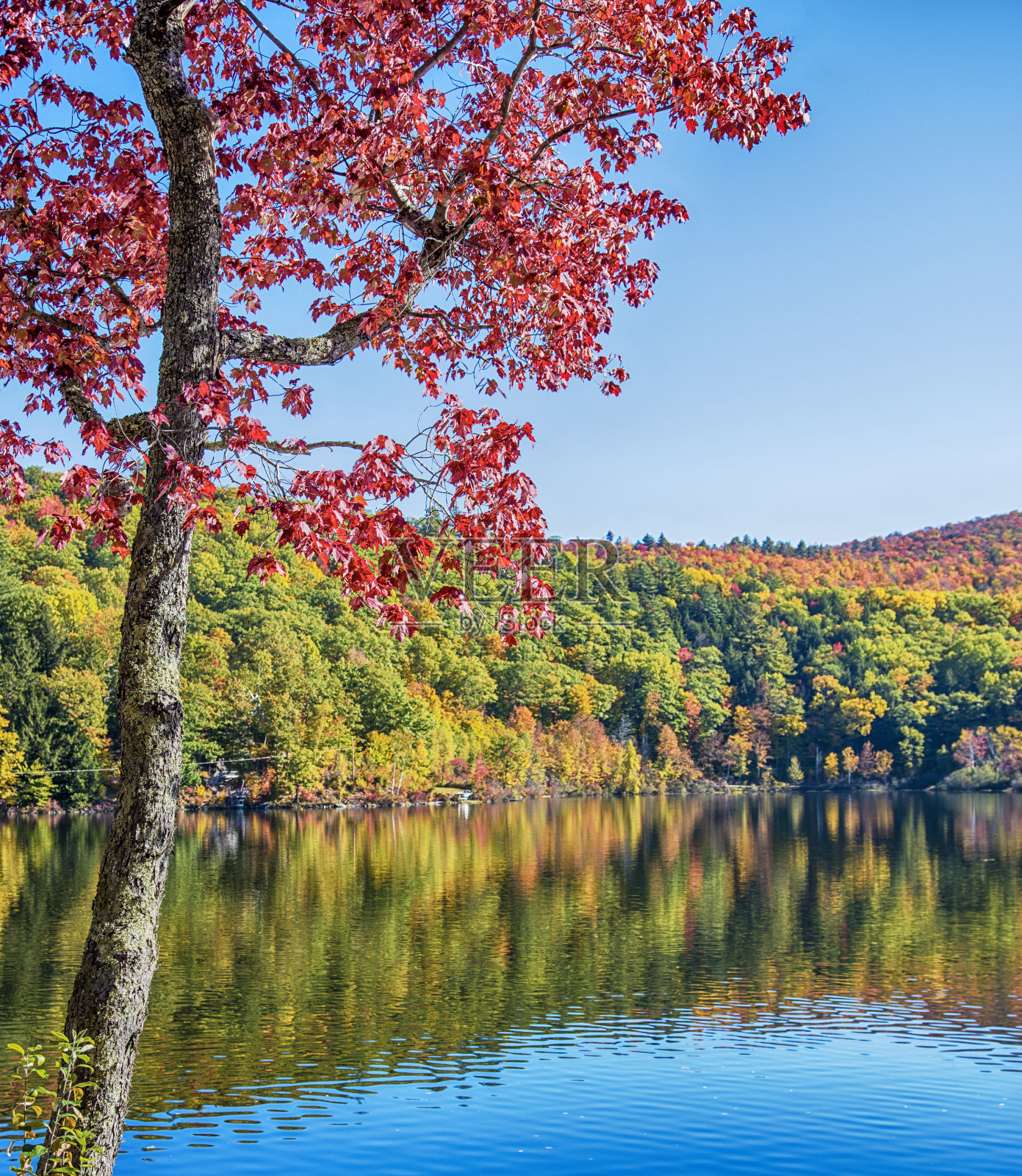 秋季湖照片摄影图片