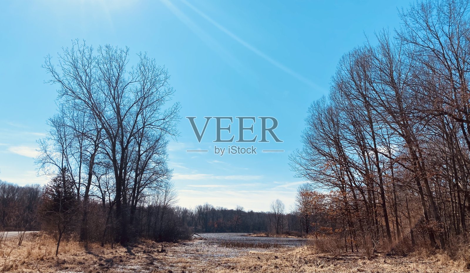 池塘照片摄影图片