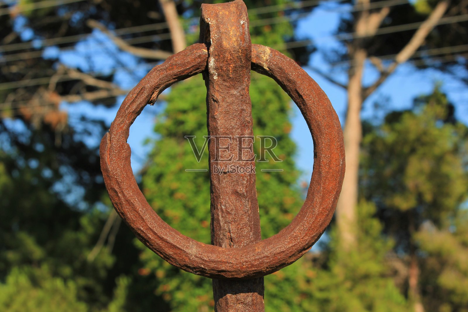 自然和愿景照片摄影图片