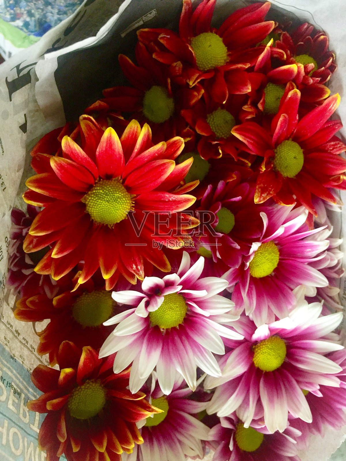 群照片摄影图片