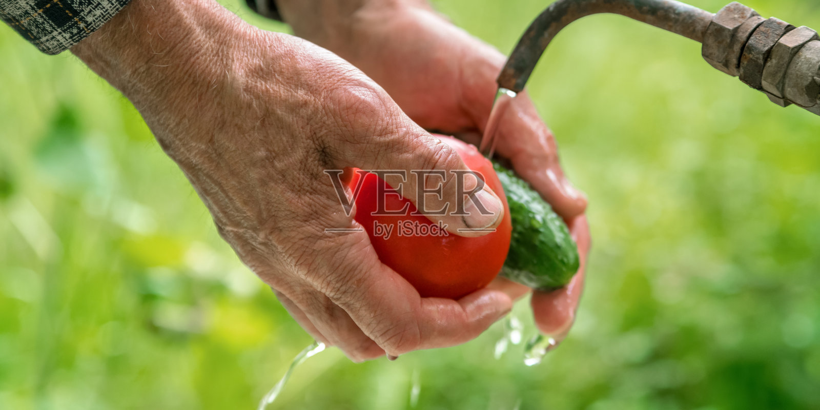 老年人洗手青黄瓜和红番茄照片摄影图片