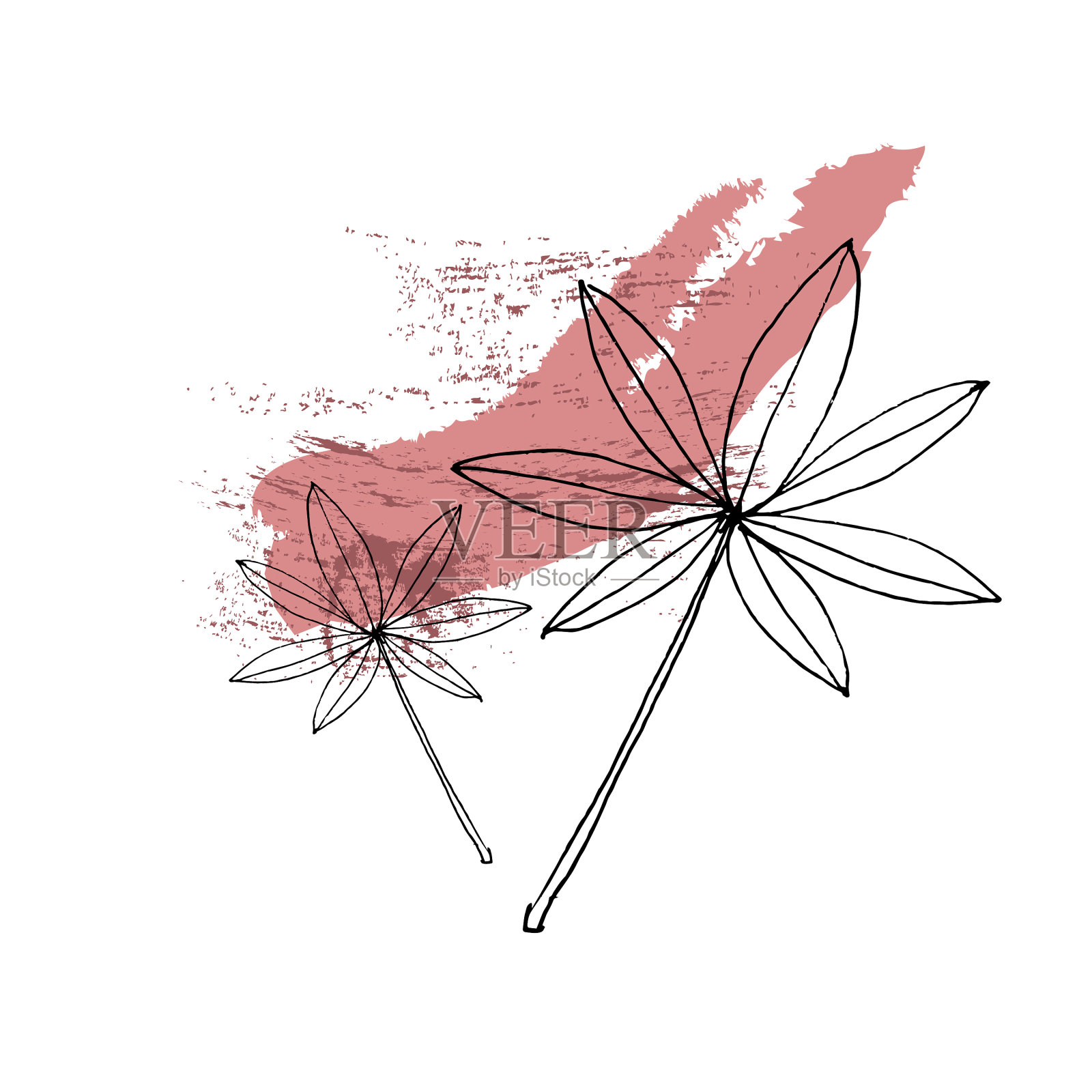 简单和最小的手绘花卉设计元素图片