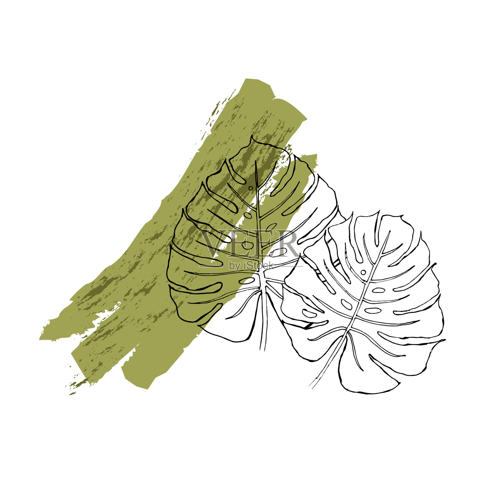 简单和最小的手绘花卉设计元素图片