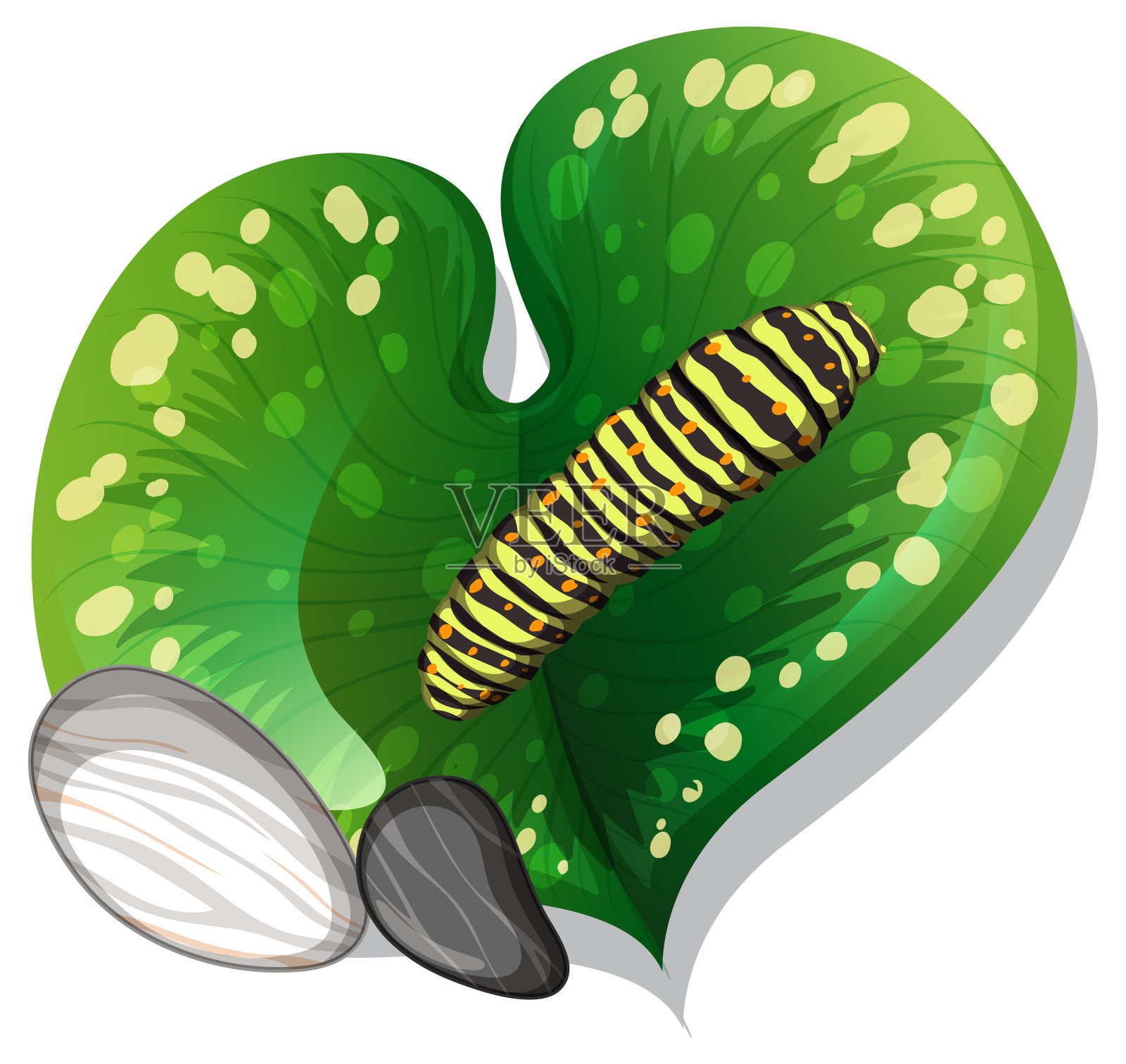 孤立的叶子上的毛虫俯视图插画图片素材