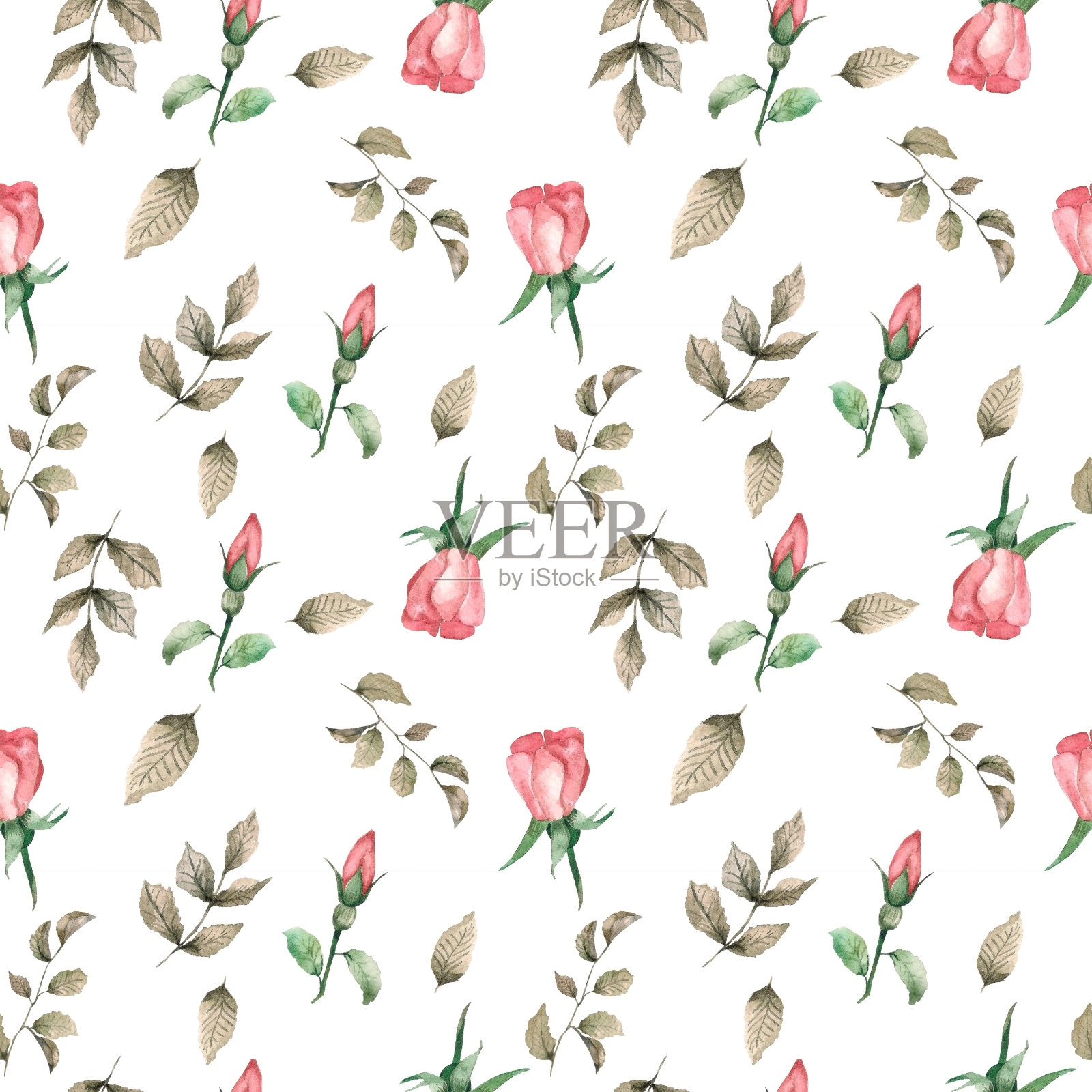 水彩插图。无缝图案在白色背景与树叶，眼睑和玫瑰臀部。织物、纸张等的天然无缝设计。插画图片素材