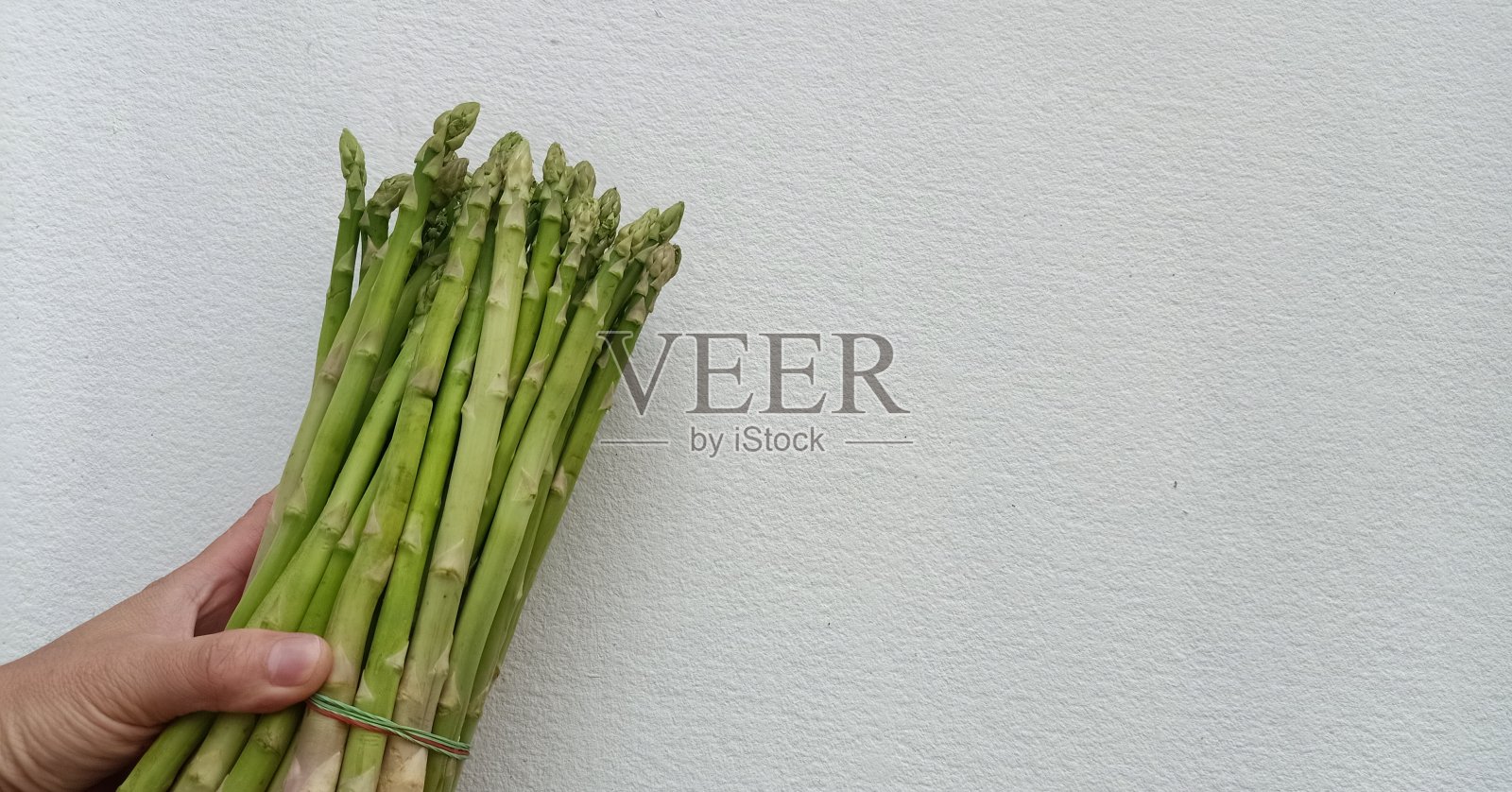 白色的墙壁背景上拿着许多芦笋照片摄影图片
