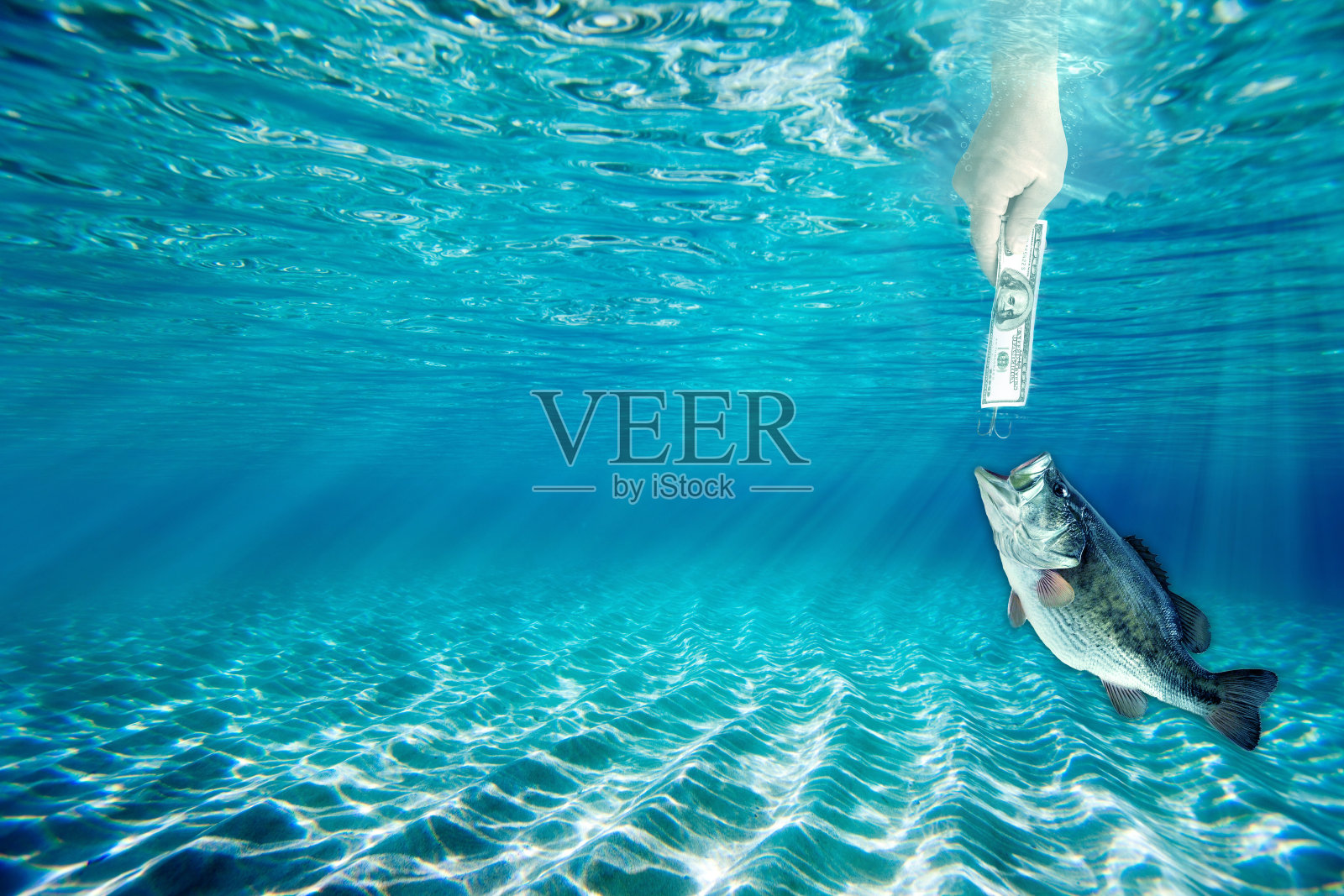 钱的陷阱照片摄影图片