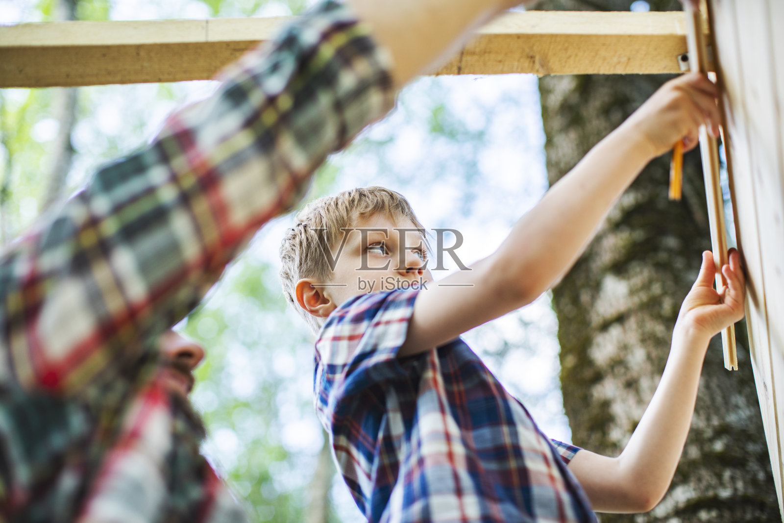 父亲和儿子在后院建造树屋照片摄影图片